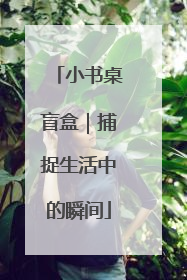 小书桌盲盒｜捕捉生活中的瞬间