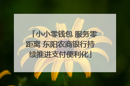 小小零钱包 服务零距离 东阳农商银行持续推进支付便利化