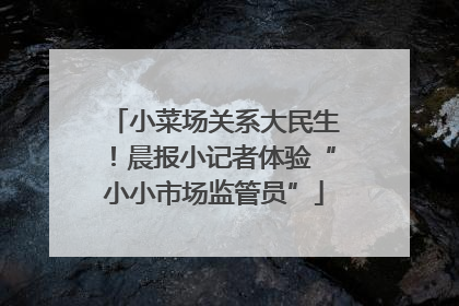 小菜场关系大民生！晨报小记者体验“小小市场监管员”