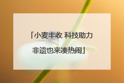 小麦丰收 科技助力 非遗也来凑热闹