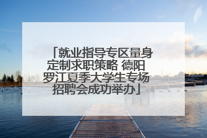 就业指导专区量身定制求职策略 德阳罗江夏季大学生专场招聘会成功举办
