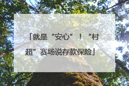 就是“安心”！“村超”赛场说存款保险