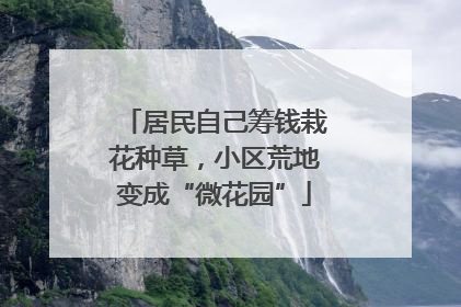 居民自己筹钱栽花种草，小区荒地变成“微花园”