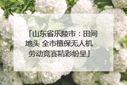 山东省乐陵市：田间地头 全市植保无人机劳动竞赛精彩纷呈