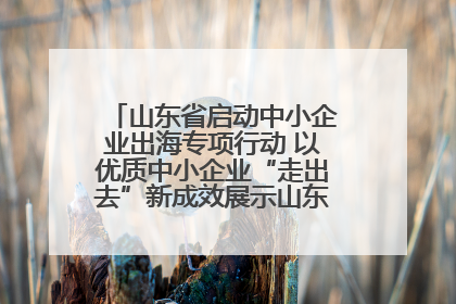 山东省启动中小企业出海专项行动 以优质中小企业“走出去”新成效展示山东产业发展新形象