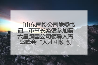 山东国投公司党委书记、董事长栾健参加第六届跨国公司领导人青岛峰会“人才引领 创新驱动”人力资源高质量发展对话会
