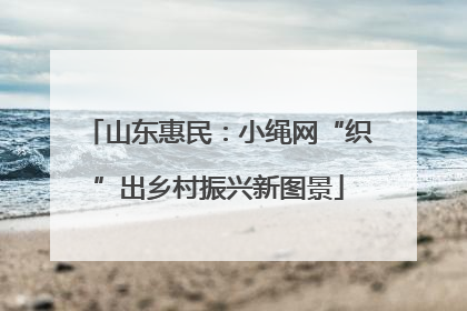 山东惠民：小绳网“织”出乡村振兴新图景
