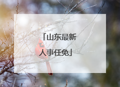 山东最新人事任免