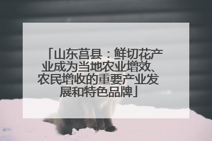 山东莒县：鲜切花产业成为当地农业增效、农民增收的重要产业发展和特色品牌