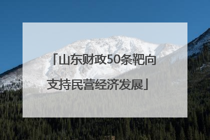 山东财政50条靶向支持民营经济发展