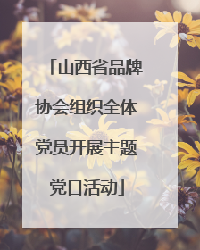 山西省品牌协会组织全体党员开展主题党日活动