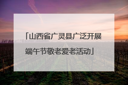 山西省广灵县广泛开展端午节敬老爱老活动
