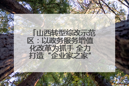 山西转型综改示范区：以政务服务增值化改革为抓手 全力打造“企业家之家”贴心服务体系