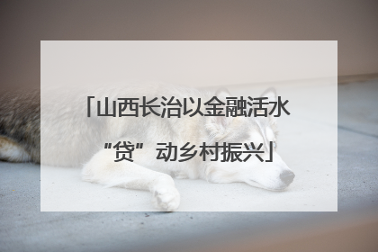 山西长治以金融活水“贷”动乡村振兴