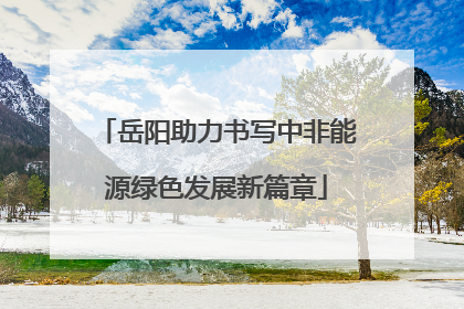 岳阳助力书写中非能源绿色发展新篇章