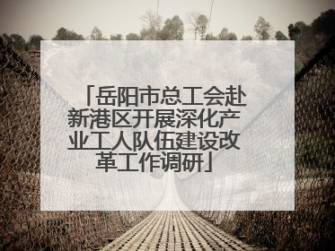 岳阳市总工会赴新港区开展深化产业工人队伍建设改革工作调研