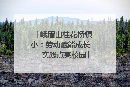 峨眉山桂花桥镇小：劳动赋能成长，实践点亮校园
