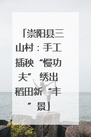 崇阳县三山村：手工插秧“慢功夫” 绣出稻田新“丰”景