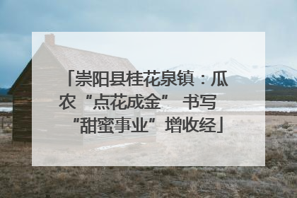 崇阳县桂花泉镇：瓜农“点花成金” 书写“甜蜜事业”增收经