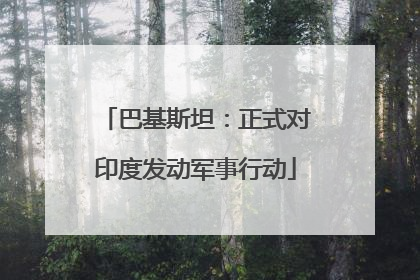 巴基斯坦：正式对印度发动军事行动