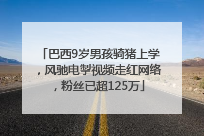 巴西9岁男孩骑猪上学，风驰电掣视频走红网络，粉丝已超125万
