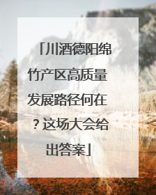川酒德阳绵竹产区高质量发展路径何在？这场大会给出答案