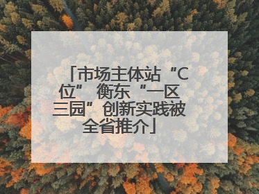市场主体站“C位” 衡东“一区三园”创新实践被全省推介