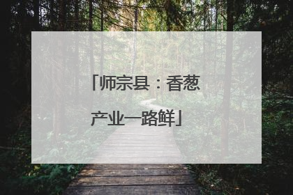 师宗县：香葱产业一路鲜