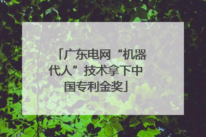 广东电网“机器代人”技术拿下中国专利金奖
