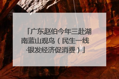 广东赵伯今年三赴湖南蓝山观鸟（民生一线·银发经济促消费）