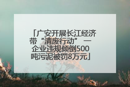 广安开展长江经济带“清废行动” 一企业违规倾倒500吨污泥被罚8万元