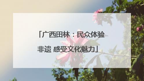 广西田林：民众体验非遗 感受文化魅力