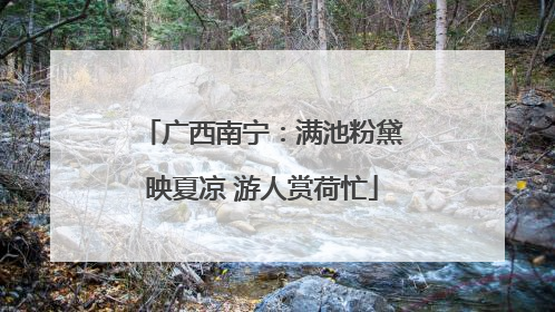 广西南宁：满池粉黛映夏凉 游人赏荷忙
