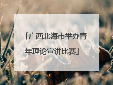 广西北海市举办青年理论宣讲比赛