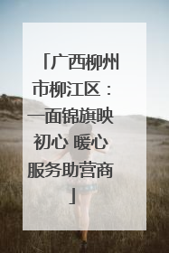 广西柳州市柳江区：一面锦旗映初心 暖心服务助营商