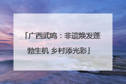 广西武鸣：非遗焕发蓬勃生机 乡村添光彩