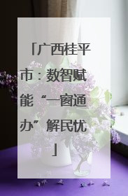 广西桂平市：数智赋能“一窗通办”解民忧