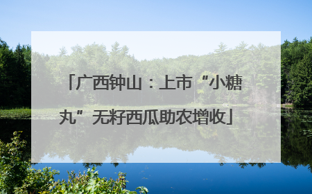 广西钟山：上市“小糖丸”无籽西瓜助农增收