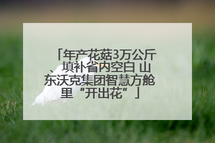 年产花菇3万公斤、填补省内空白 山东沃克集团智慧方舱里“开出花”
