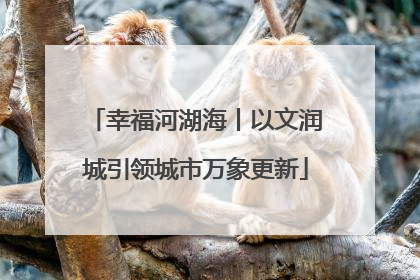 幸福河湖海丨以文润城引领城市万象更新
