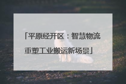 平原经开区：智慧物流重塑工业搬运新场景