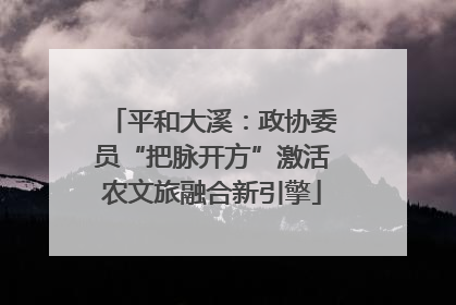平和大溪：政协委员“把脉开方”激活农文旅融合新引擎