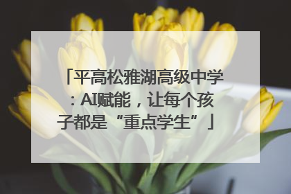 平高松雅湖高级中学：AI赋能，让每个孩子都是“重点学生”