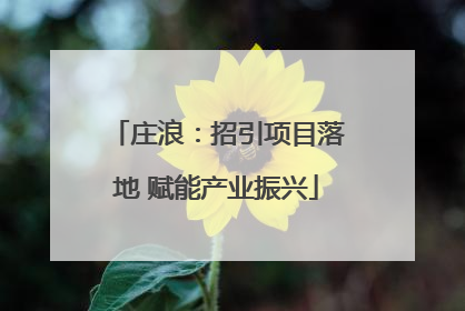 庄浪：招引项目落地 赋能产业振兴