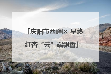 庆阳市西峰区 早熟红杏“云”端飘香