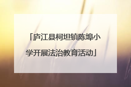 庐江县柯坦镇陈埠小学开展法治教育活动