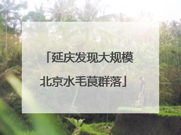 延庆发现大规模北京水毛茛群落