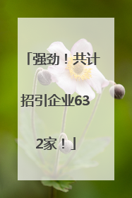 强劲！共计招引企业632家！