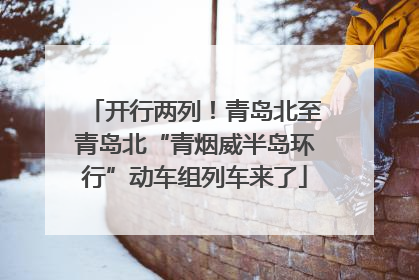 开行两列！青岛北至青岛北“青烟威半岛环行”动车组列车来了