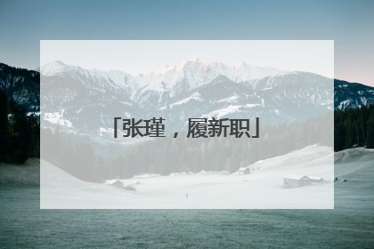 张瑾，履新职